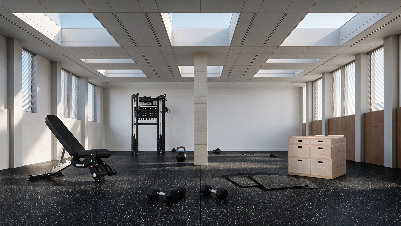 Concept of the hall equipped as a gym
