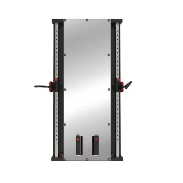 Wall Mounted Steel Cable Machine Dual Pully