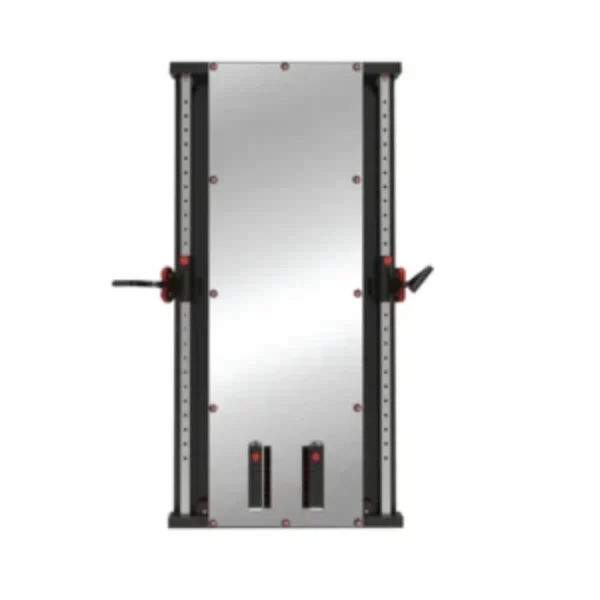 Wall Mounted Steel Cable Machine Dual Pully